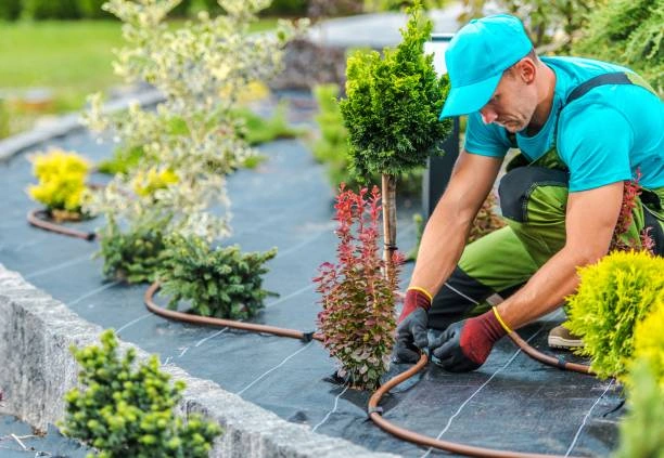 Empresa de jardinagem